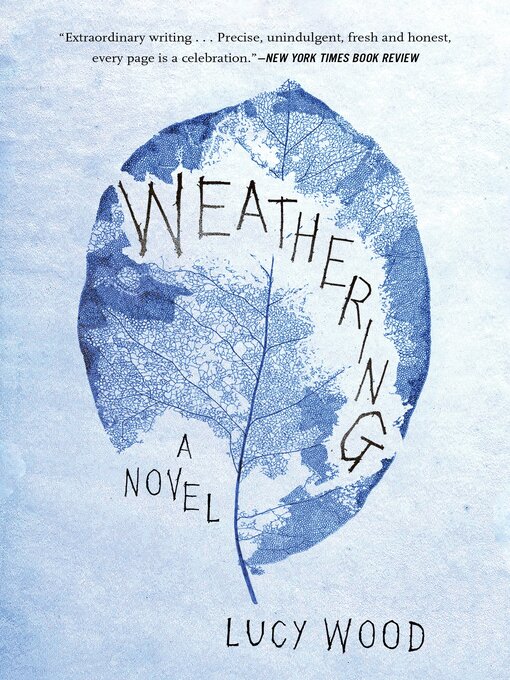 Cover image for Weathering